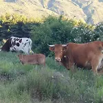 Arrayanes Royal Σιέρρα Νεβάδα